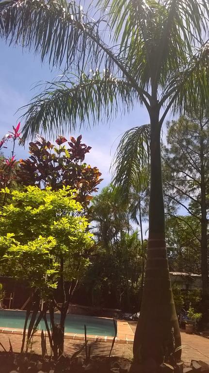 Petit Hotel Caraguata Puerto Iguazú Eksteriør billede